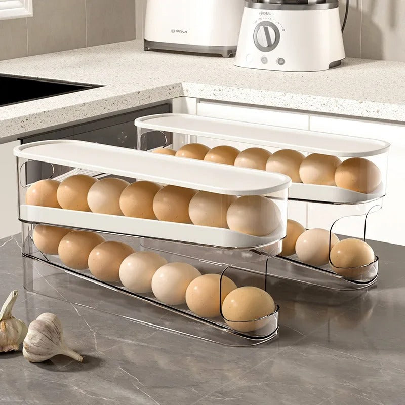 Egg Refrigerator Storage